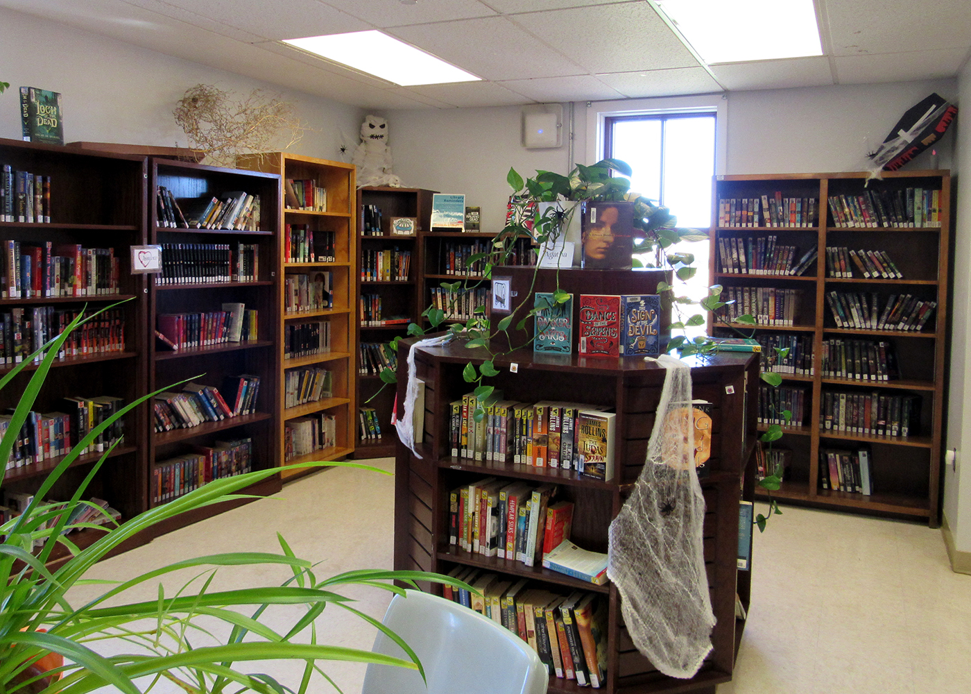 NCCW Library & School Decorations