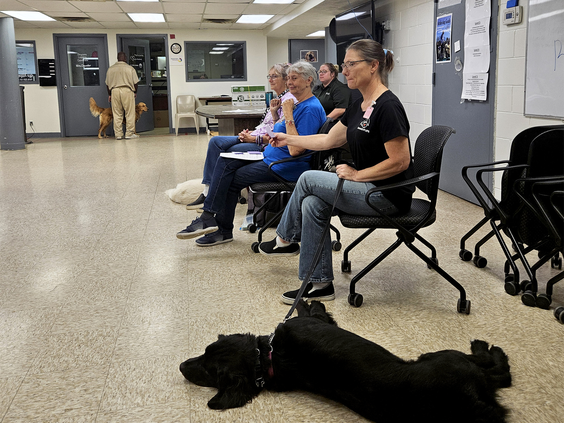 Domesti-PUPs training