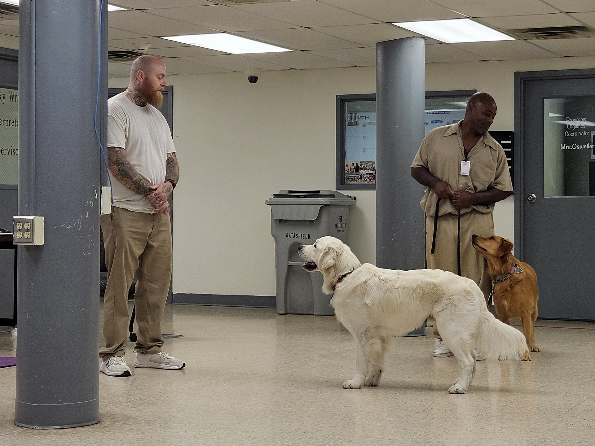 Domesti-PUPs training