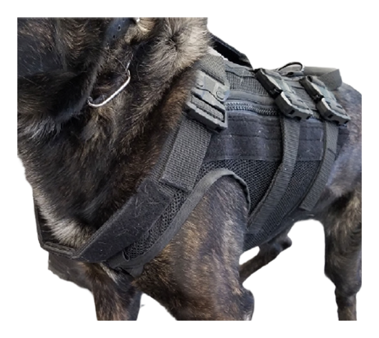 Service Dog Vest