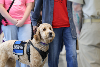 Domesti-PUPS Service Dog Graduations