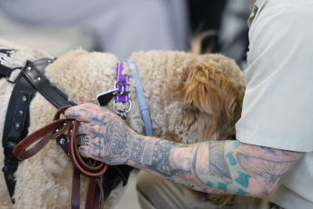 Domesti-PUPS Service Dog Graduations
