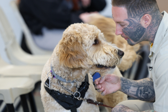 Domesti-PUPS Service Dog Graduations