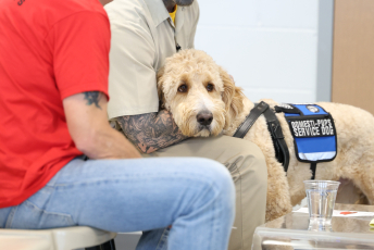 Domesti-PUPS Service Dog Graduations