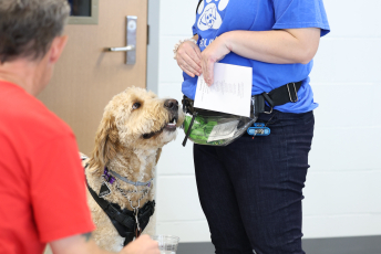 Domesti-PUPS Service Dog Graduations
