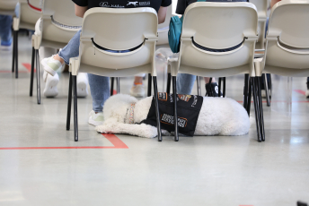 Domesti-PUPS Service Dog Graduations