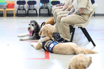 Domesti-PUPS Service Dog Graduations