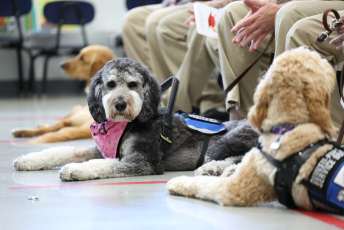 Domesti-PUPS Service Dog Graduations