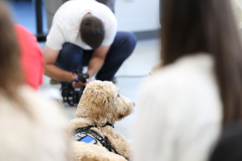 Domesti-PUPS Service Dog Graduations