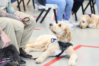 Domesti-PUPS Service Dog Graduations