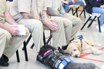 Domesti-PUPS Service Dog Graduations