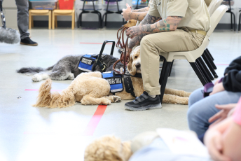 Domesti-PUPS Service Dog Graduations