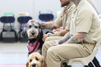 Domesti-PUPS Service Dog Graduations