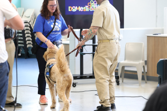 Domesti-PUPS Service Dog Graduations