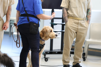 Domesti-PUPS Service Dog Graduations
