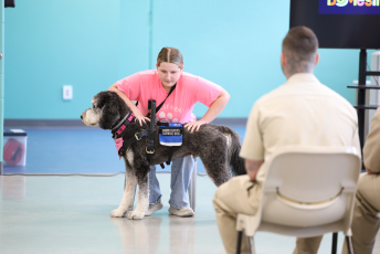 Domesti-PUPS Service Dog Graduations