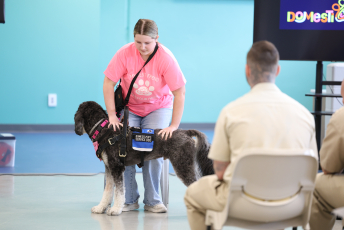 Domesti-PUPS Service Dog Graduations