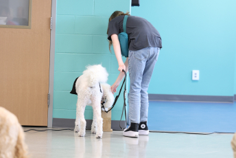 Domesti-PUPS Service Dog Graduations