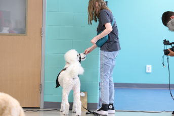 Domesti-PUPS Service Dog Graduations