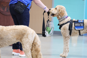 Domesti-PUPS Service Dog Graduations