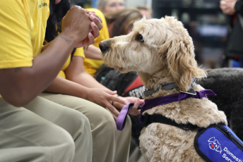 Domesti-PUPS Service Dog Graduations