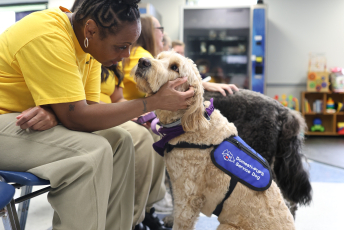 Domesti-PUPS Service Dog Graduations