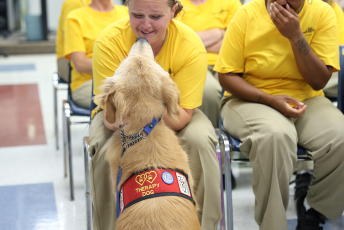 Domesti-PUPS Service Dog Graduations
