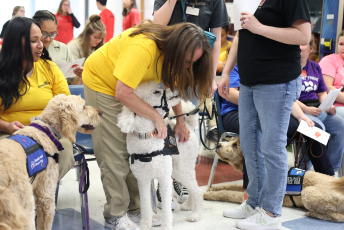 Domesti-PUPS Service Dog Graduations