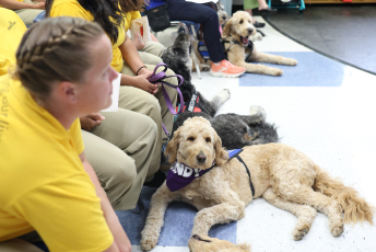 Domesti-PUPS Service Dog Graduations