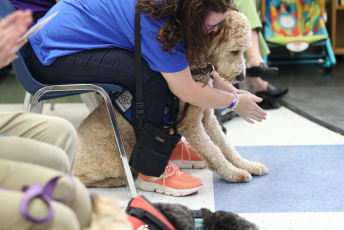 Domesti-PUPS Service Dog Graduations