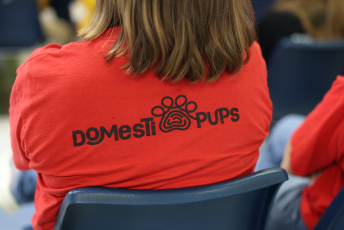 Domesti-PUPS Service Dog Graduations