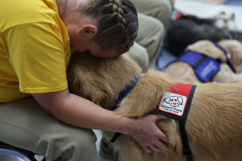 Domesti-PUPS Service Dog Graduations