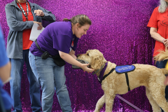 Domesti-PUPS Service Dog Graduations