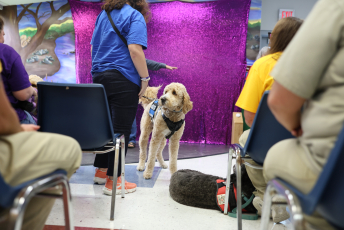 Domesti-PUPS Service Dog Graduations