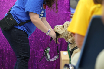 Domesti-PUPS Service Dog Graduations