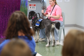 Domesti-PUPS Service Dog Graduations
