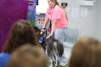 Domesti-PUPS Service Dog Graduations