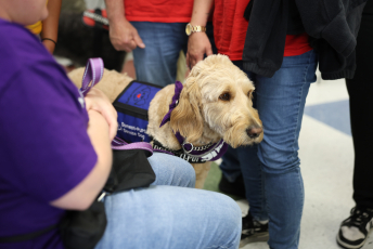 Domesti-PUPS Service Dog Graduations