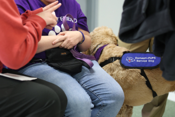 Domesti-PUPS Service Dog Graduations