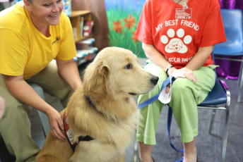 Domesti-PUPS Service Dog Graduations