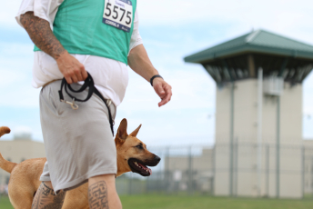 PFA 5K Gallery