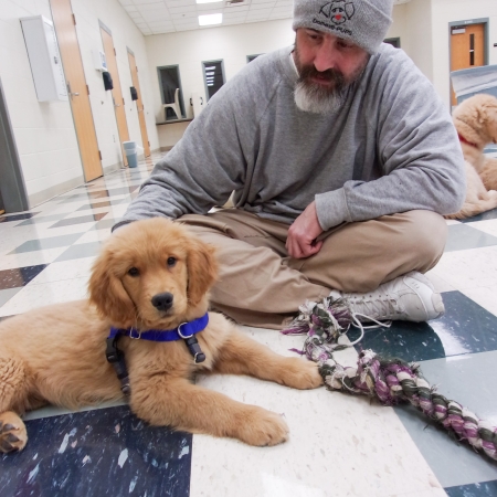 TSCI: Domesti-PUPS
