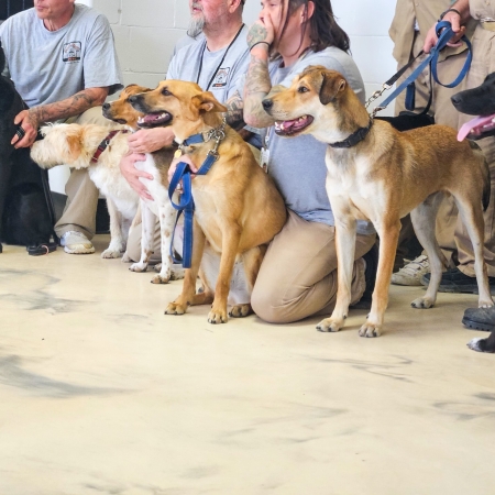 Second Chance Pups