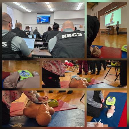 First Aid & CPR Training