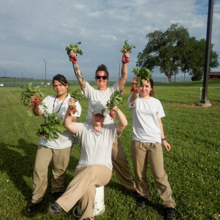 Harvesting radishes at NCCW
