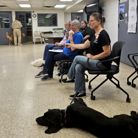 Domesti-PUPs training