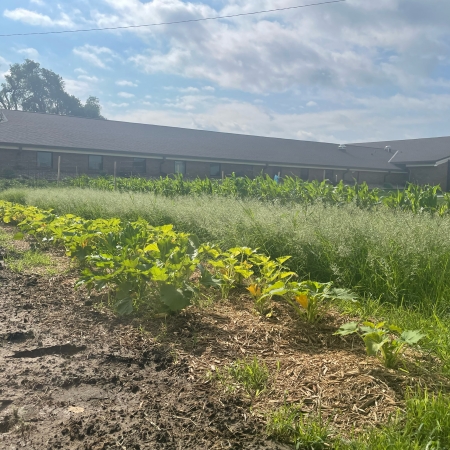ccco_garden_.jpeg