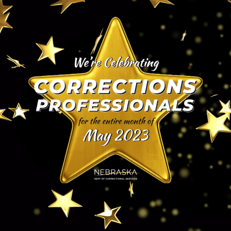 corrections_month-1.png