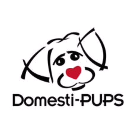 domestipups_reel_cover.png domestipups_reel_cover.png