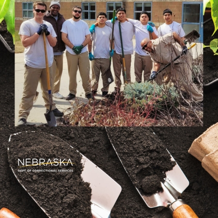 ncyf_greenthumb_0.jpg